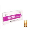 KECAM