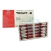 Trivit-B