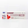 Ceftazidime 2000