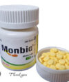 MONBIG