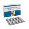 CELECOXIB 200 DONAIPHARM - Điều trị thoái hóa khớp; viêm khớp dạng thấp (hộp 20 viên)