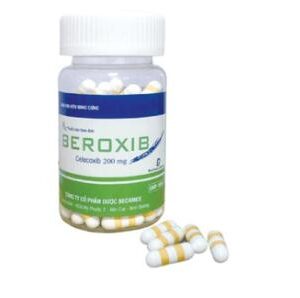 BEROXiB