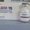 VALBIVI 1G Vancomycin 1,0g – Thuốc bột tiêm truyền tĩnh mạch – Pharbaco
