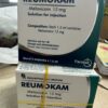 Thuốc Reumokam Meloxicam 15mg/1,5ml - Thuốc trị đau xương khớp hiệu quả (Hộp 5 ống x 1,5ml)