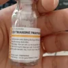 Panpharma 1G(Ceftriaxone 1G) VIETCEF