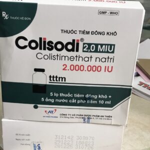 Colisodi 2MIU An Thiên là thuốc được chỉ định điều trị nhiễm khuẩn nặng do vi khuẩn Gram âm gây ra như nhiễm khuẩn huyết, viêm màng não, nhiễm khuẩn thận, nhiễm khuẩn đường niệu – sinh dục do các vi khuẩn nhạy cảm. Thuốc giúp làm giảm nhanh các triệu chứng và cải thiện tình trạng sức khỏe người bệnh.
