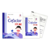Thuốc kháng sinh Cefaclor 125mg Domesco