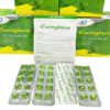 Thuốc Euroginca Vinapharm