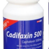 Cadifaxin 500 USP (Cephalexin 500 mg) - Thuốc trị ký sinh trùng, chống nhiễm khuẩn, hoa quả (Lọ 200 viên)