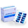 Thuốc Lincomycin 500mg Domesco hộp 20 vỉ x 10 viên điều trị nhiễm khuẩn