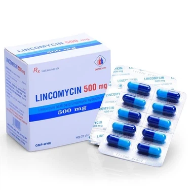 Thuốc Lincomycin 500mg Domesco – Điều trị hiệu quả các chứng nhiễm khuẩn hộp 200 viên 1 Thuốc Lincomycin 500mg Domesco hộp 20 vỉ x 10 viên điều trị nhiễm khuẩn