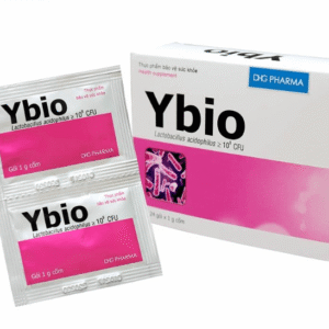 Ybio (Lactobacillus acidophilus) DHG Pharma – Hỗ trợ cân bằng hệ vi sinh đường ruột, giảm rối loạn tiêu hóa – Hộp 24 gói x 1g