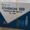 Clindacine 600